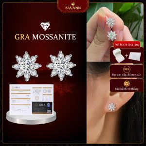 Khuyên tai Astra Glow